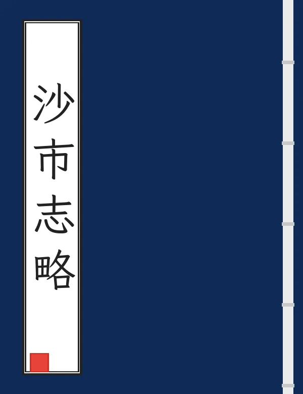 沙市志略