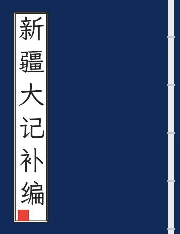 新疆大记补编