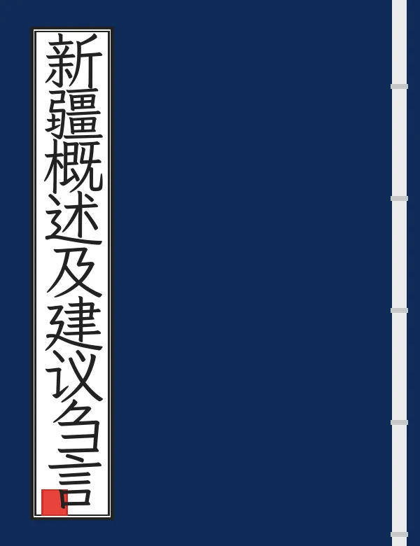 新疆概述及建议刍言