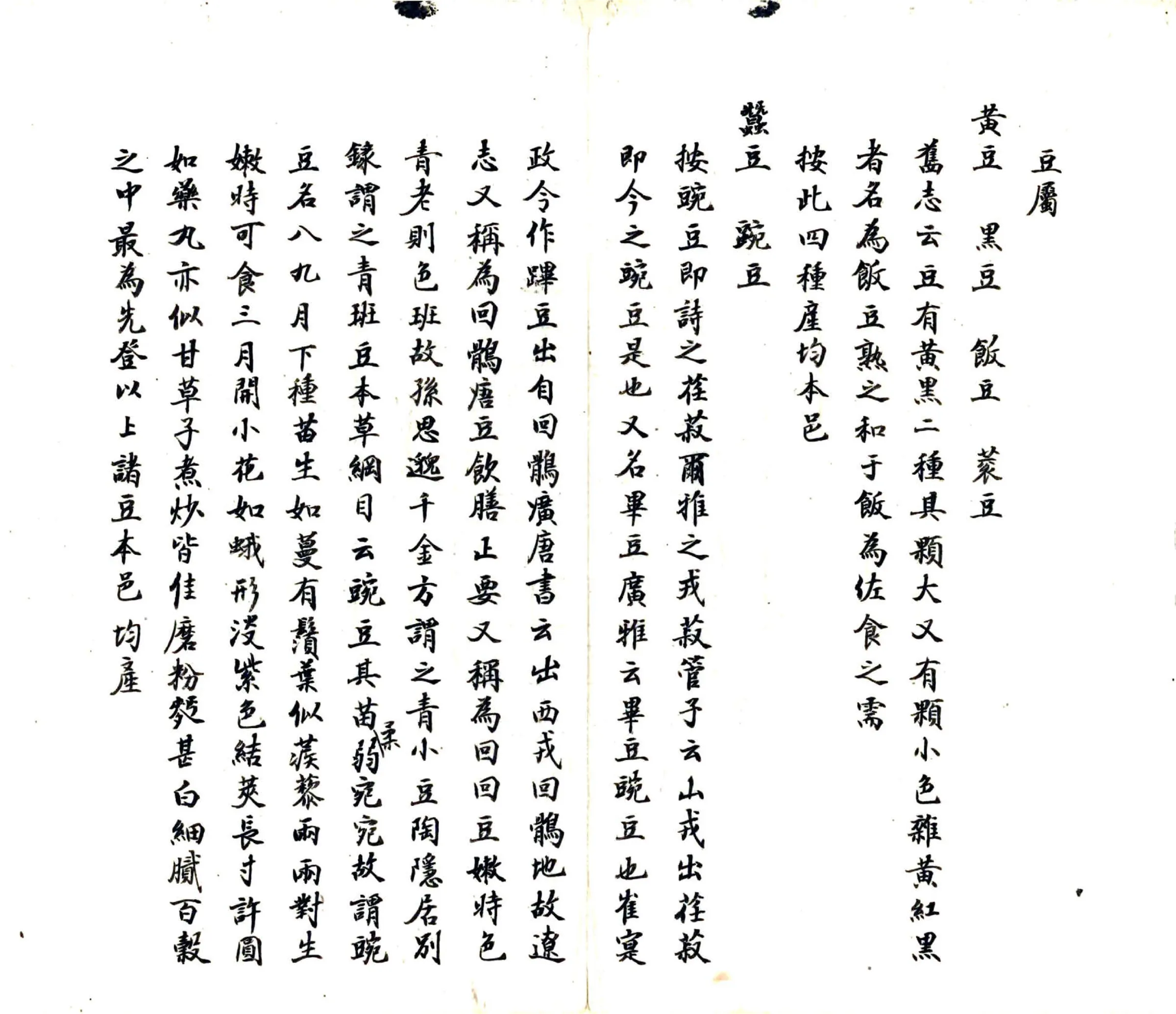 安南县志（民国） 在线预览第8页