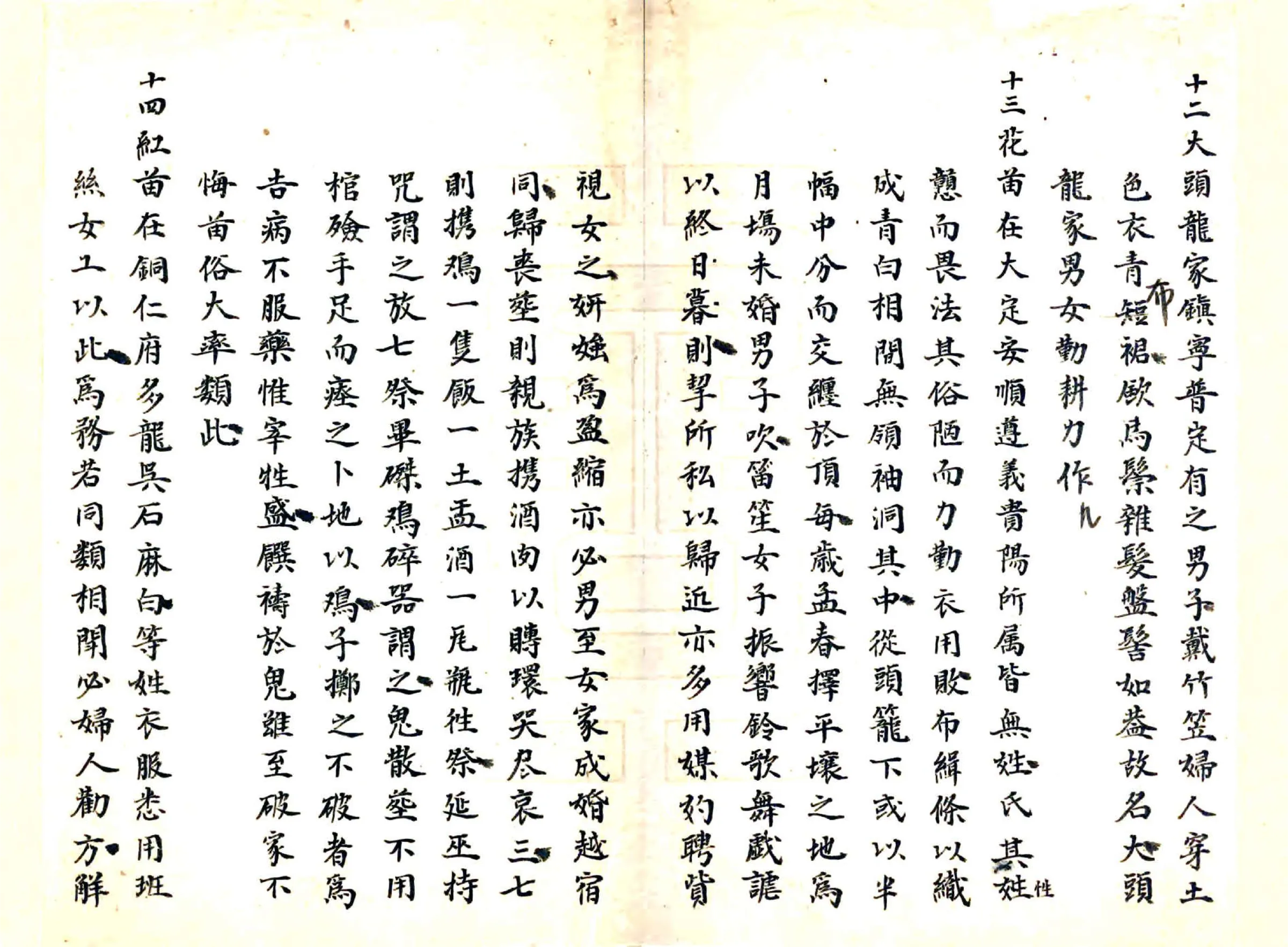 贵州全省诸苗图说（清） 在线预览第6页
