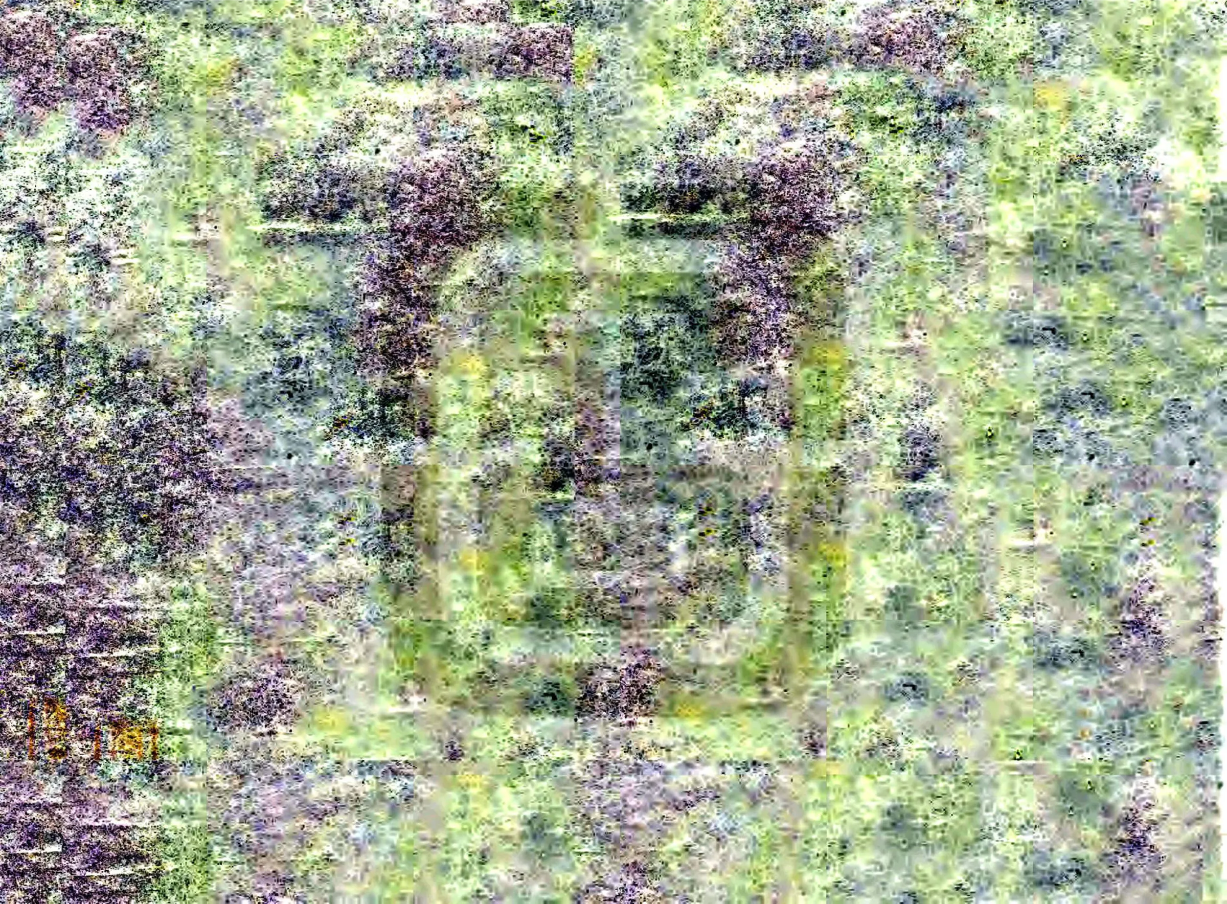 蒙城县志（同治） 在线预览第1页