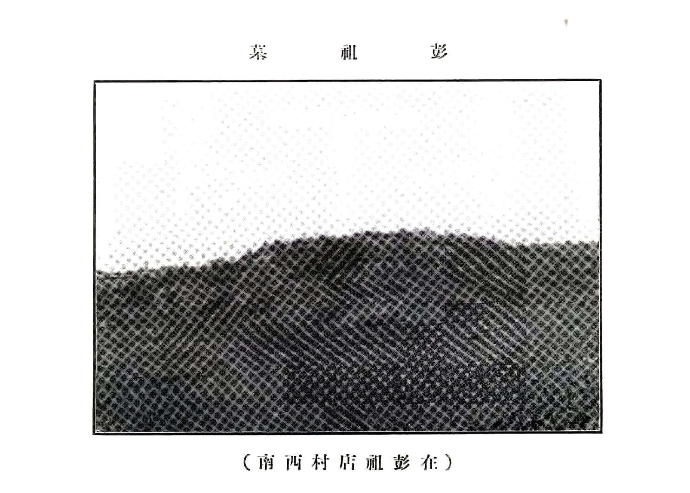 馆陶县志（民国） 在线预览第8页