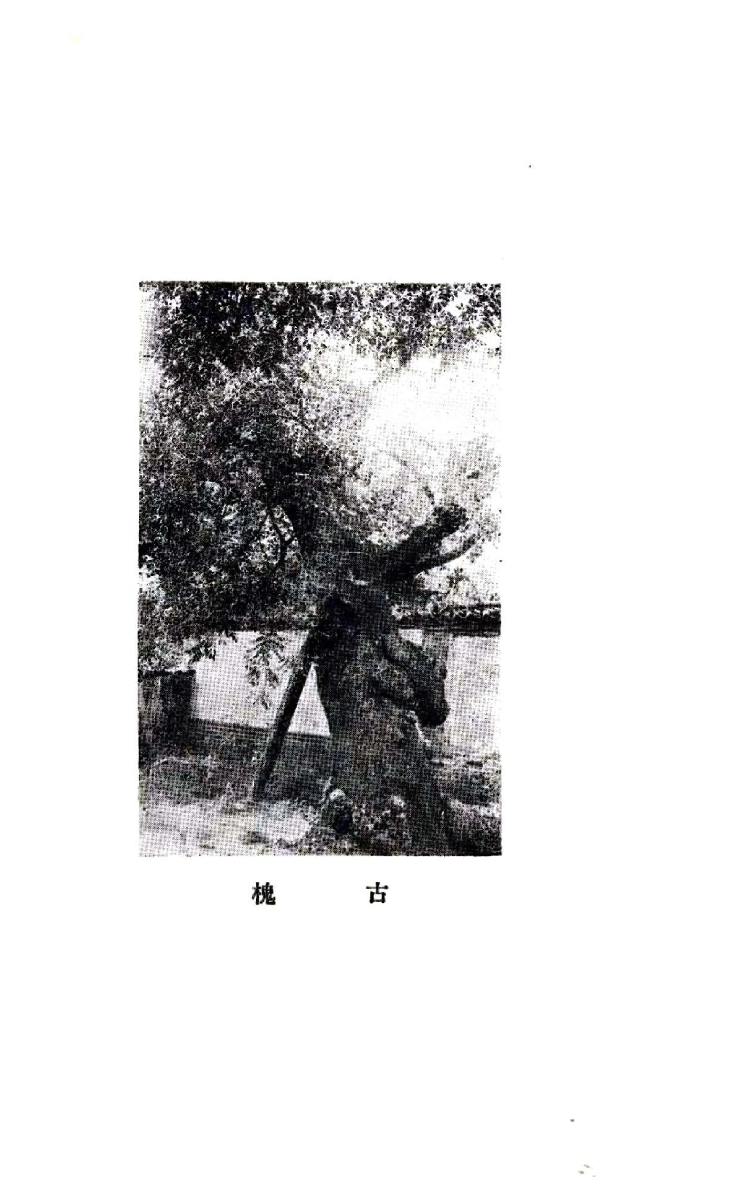 卢龙县志（民国） 在线预览第6页