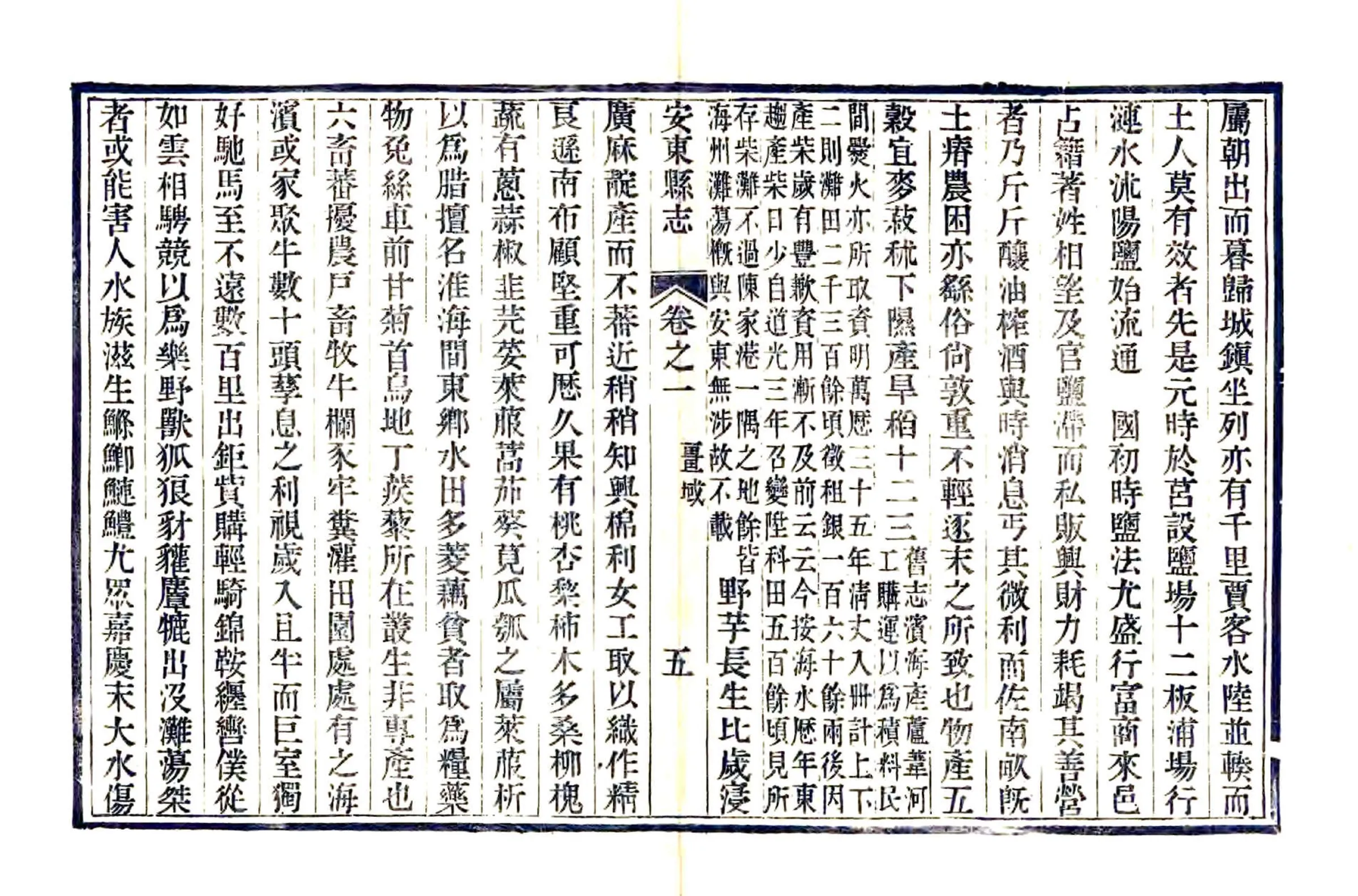 安东县志（光绪） 在线预览第5页
