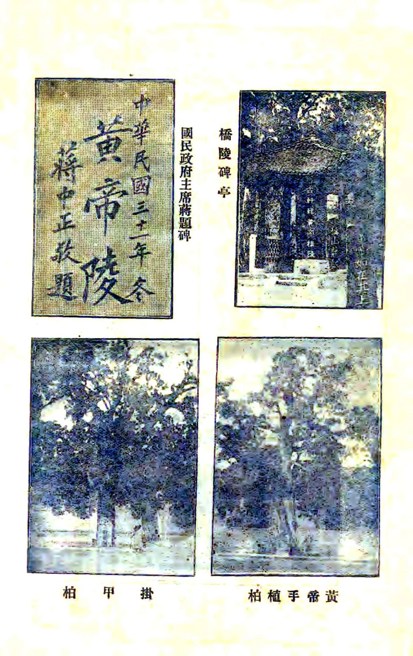黄陵志（民国） 在线预览第6页