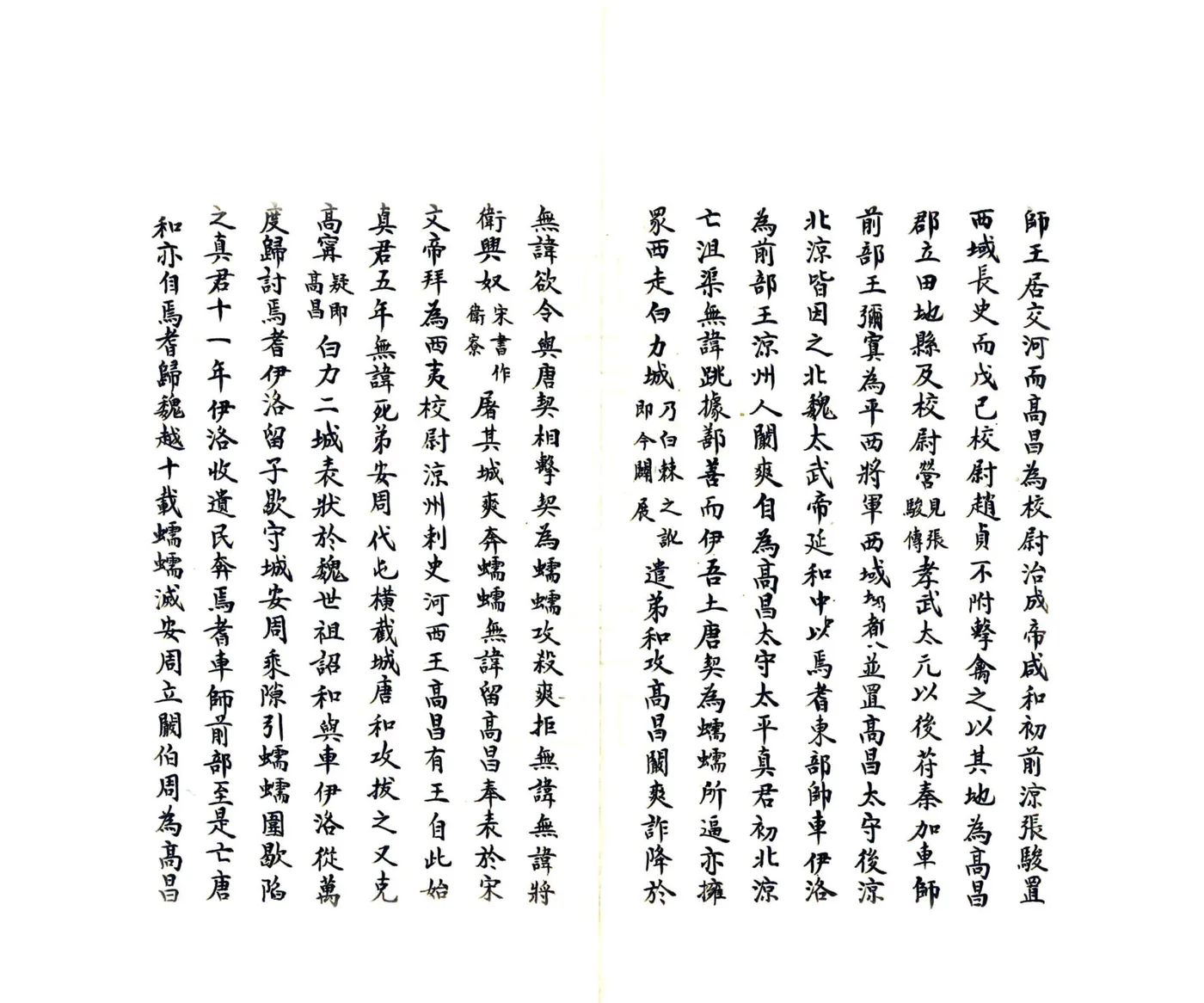 新疆吐鲁番厅乡土志（光绪 民国抄本） 在线预览第6页