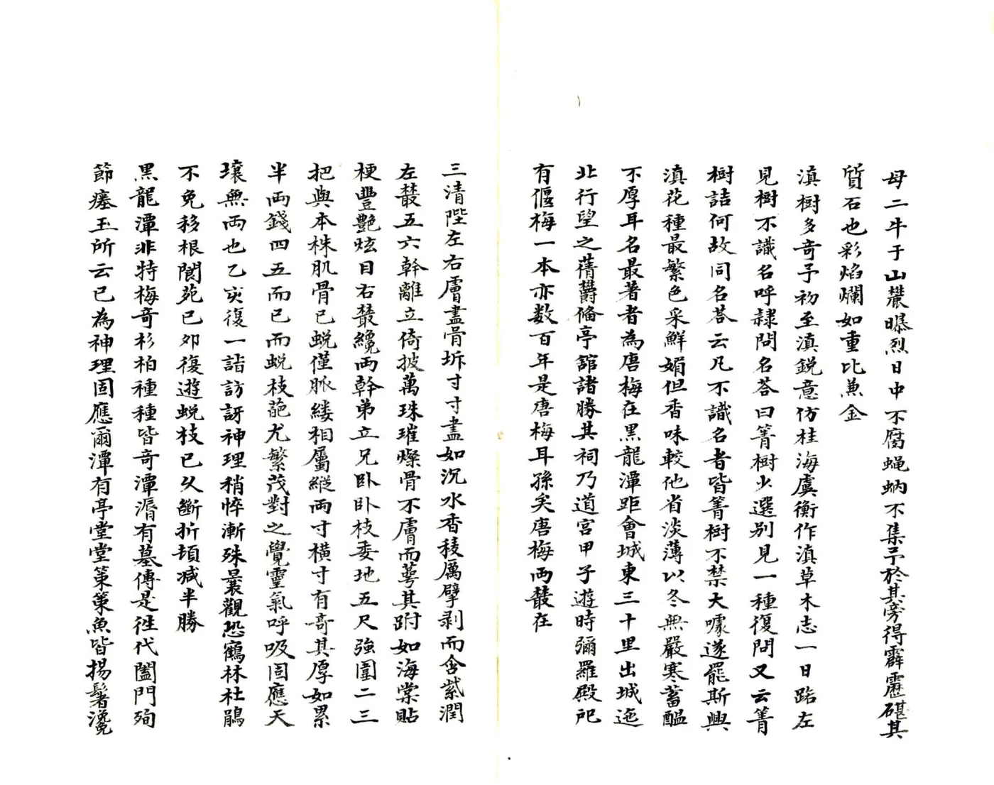 滇语备忘录（清） 在线预览第5页